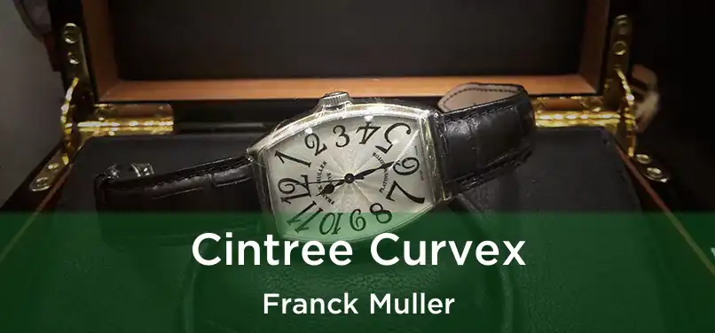  Cintree Curvex Franck Muller