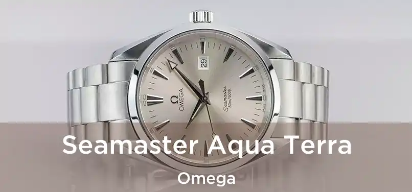  Seamaster Aqua Terra Omega